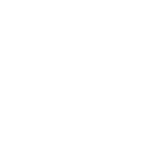 Palmyrion